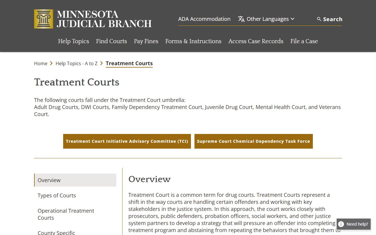 Kandiyohi County District Court treatment courts overview
