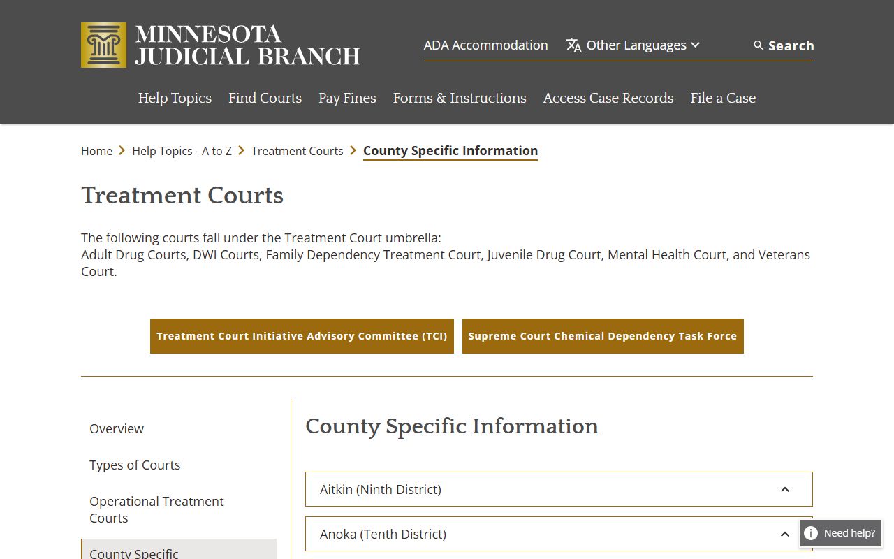 Kandiyohi County District Court county-specific treatment court list
